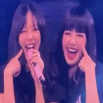 블핑 <b>젠리</b>사