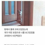 지금까지 찍은 <b>증사</b>중에