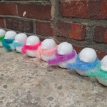 [방탈죄송] 눈<b>오리</b>에 진심