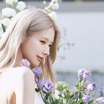 너네 미연 이거 봤음?