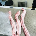 이마트 <b>명일</b>점(도드람한돈)쓰레기 삼겹살 사기