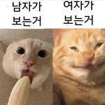 판에서 이런애들 ㄹㅇ 개때리고 싶음