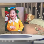 [방탈죄송] (2탄) 사랑이가 <b>jtbc</b> 뉴스룸에 나왔습니다. (진행상황...