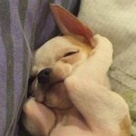 수시 발표 때매 <b>심란</b>할 수도 있구나