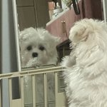 내귀여운얼굴좀봐줘(사진<b>짱</b>많음)