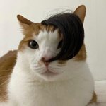 애기들 신났넹