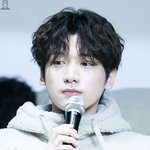 제니 남미새;