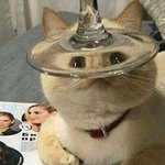 집사는 <b>니</b>들 <b>덕</b>에 웃어 최고야 너무 짜릿해