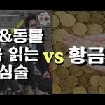 [댓글부탁해] 골라주세요 < <b>반려</b>묘나 <b>반려</b>견 마음 읽는 능력 VS...