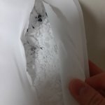 엥 이거 뭐임 <b>습기</b>제거제에 물이 하나도 안생길수 있는거야??