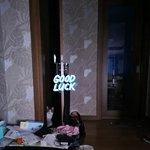 [고양이] 슬기로운 임보생활7[유기묘 임시보호하기]