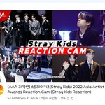 [스키즈] 다들 보았니