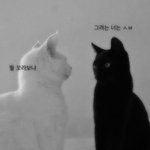 나 중딩때 사겻던 남친 ㅈㄴ<b>스윗</b>한썰 풀어줌