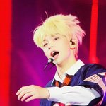 [TXT] 애들 무대 중 강아지 <b>난입</b>핶는데