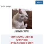 [드루와] 동물 mbti 해봄 ㅋㅋ