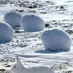 [19] 내친구 <b>서연</b>고갔는데  조카 어이없게 감 ㅋㅋ