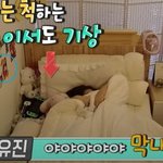 카리나랑 이서 드디어 친목함