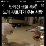 유툽 <b>숏츠</b>보다가 냅다 눈물나벌임 ㅜㅜ