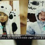 [엔하이픈] 얘들아 <b>포켓</b>즈 아기시절