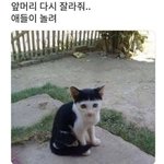 [드루와] 지금 유튜브 뮤직에서 방탄 아니쥬 틀어봐