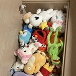 <b>집</b>에 인형 너무 많아서 침대<b>밑</b>에 가둿음