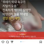 [햄스터] 너네 반에 이런애 있으면 어때? 싸패 소름돋아;