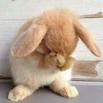 ㅊㅂ)만약 언니를 고를수 있다면?