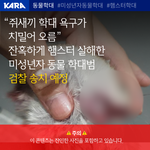 [ㅈㄱㄴ] 햄스터 학대범 <b>엄벌</b> 촉구 청원 부탁해!!