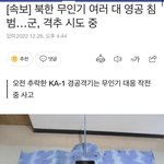 무인기 크기 알려줄게 들어와봐