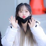 <b>츄</b>는 어떤 동물상임?