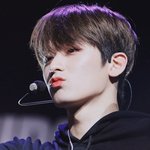 주연시