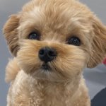 우리 읏짜를 소개 할께요~