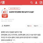 이거 댓글들 ㅈ지랄한다는 소리밖에 안나옴