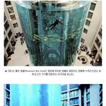 이번에 터진 수족관....
