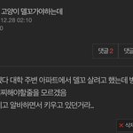 [댓글부탁해] 5살 <b>파양</b>고양이 살린다고 생각하고 다들 들어와죠....
