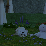 [레이] <b>베리</b>레드톡)