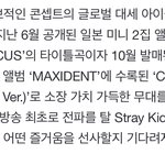[스키즈] 아니 가요대제전 슼 뭐임