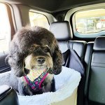 실망한 <b>기색</b>이 역력한 고갱님들..