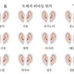[트레저] 애들 피어싱 이렇게 뚫은거 맞음??