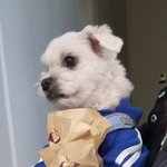 난 <b>이영지</b> 랩 잘하는지 잘모르겠음