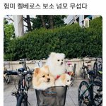 [NCT드림] 누가 히드라라고 했냐