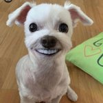 [19] 아빠한테 이벤트 <b>속옷</b> 들킴,,