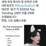 [군대] 아니ㅋㅋㅋ이왜<b>진</b>