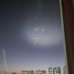 신기해서 올려봐요 이거 <b>먼지</b> 아시는분?