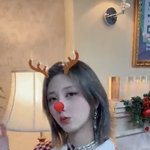 가을 개이쁨