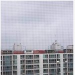 이거 <b>합성</b>이겠지