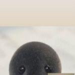[댓글부탁해] 쿠팡 알바 해 본 판녀 있어??