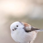 [댓글부탁해] 너네가 봤던 가장 <b>특이</b>한 성 뭐임?