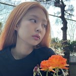 제니 vs 지젤 누가 더 이쁨?