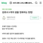 저 <b>네이버</b> 4개의 어쩌고 하는거 찾아봤는데